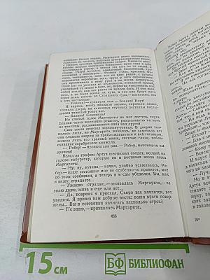 Железный король. Узница Шато-Гайара