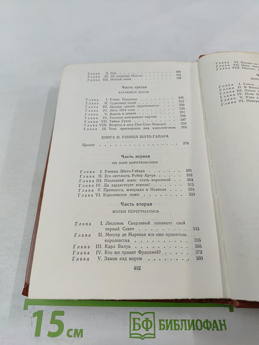 Железный король. Узница Шато-Гайара