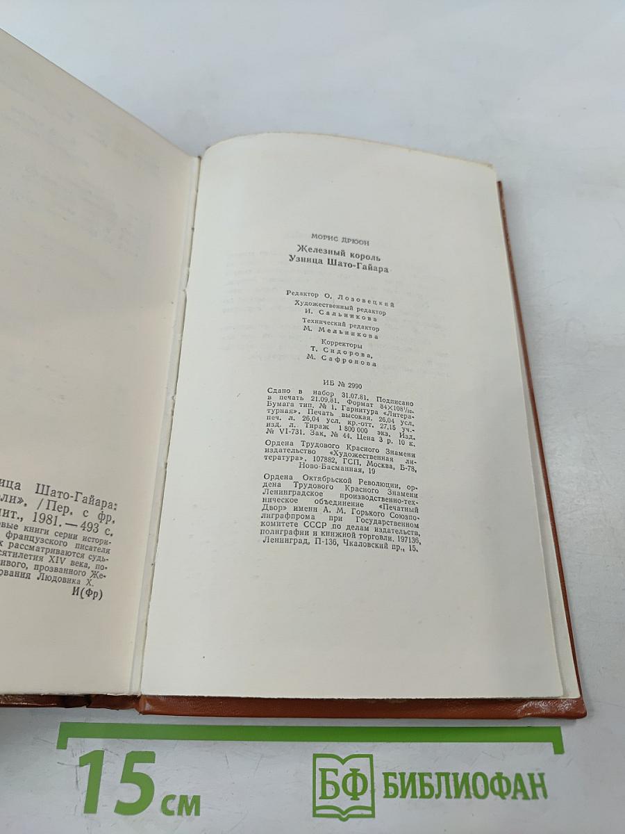 Железный король. Узница Шато-Гайара