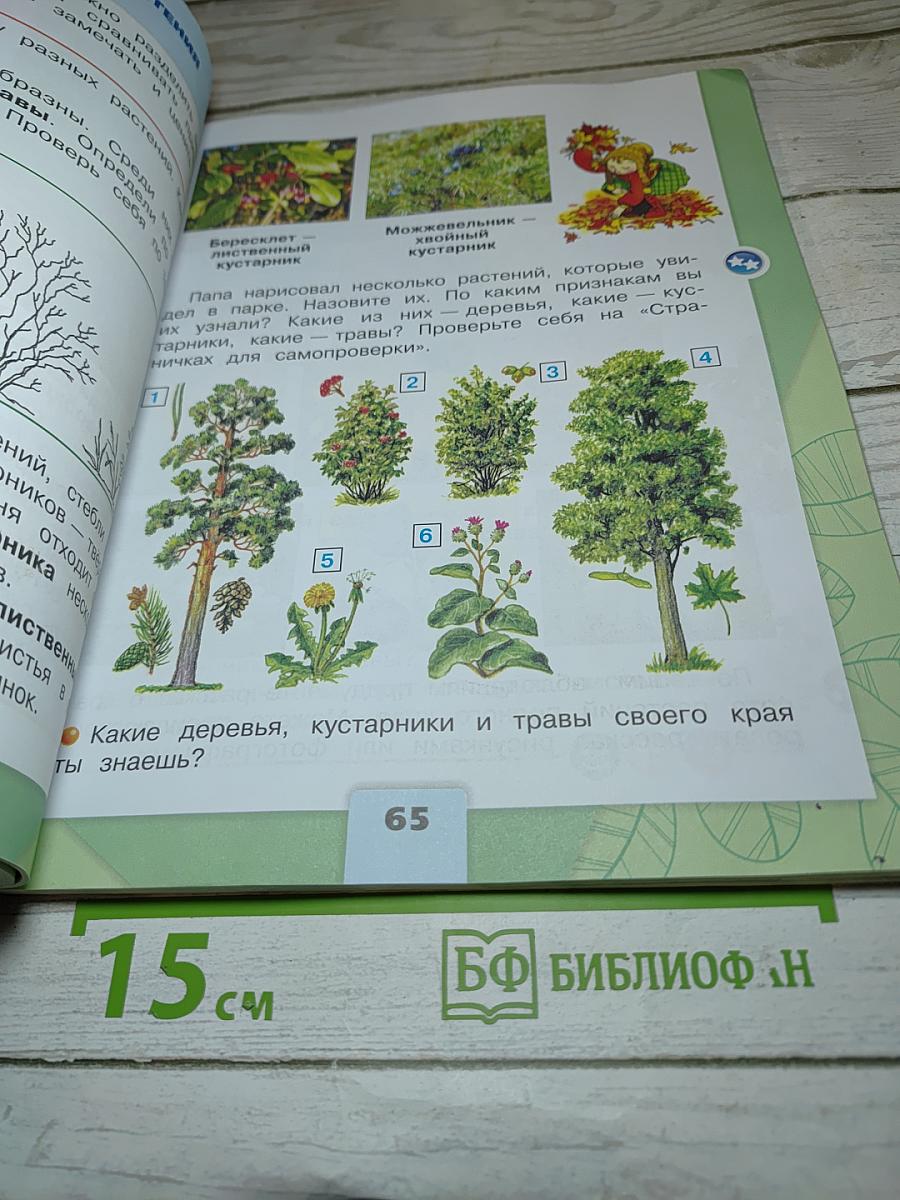 Окружающий мир, 2 класс, Часть 1