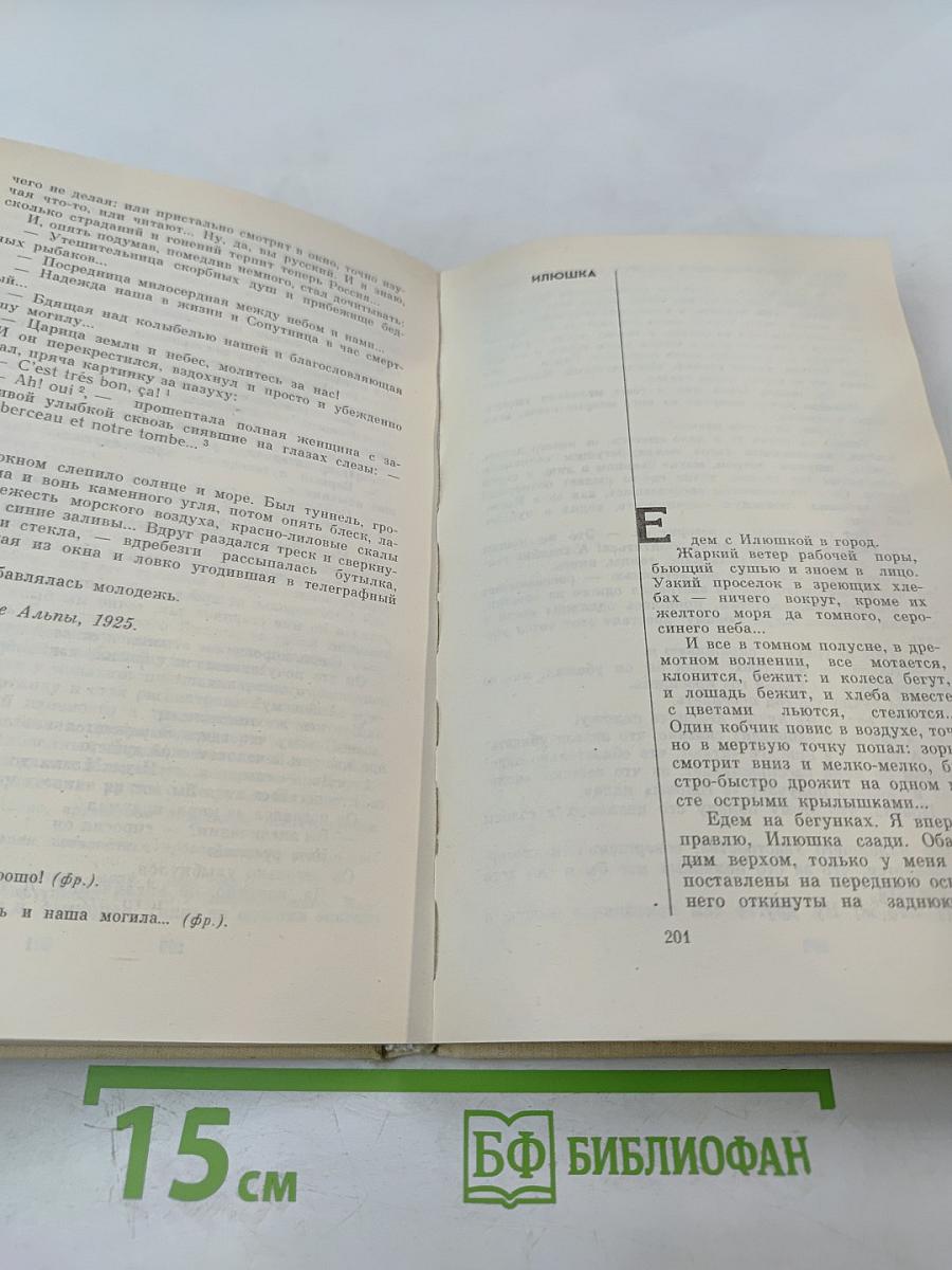 Окаянные дни