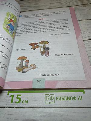 Литературное чтение, 2 класс, Часть 1