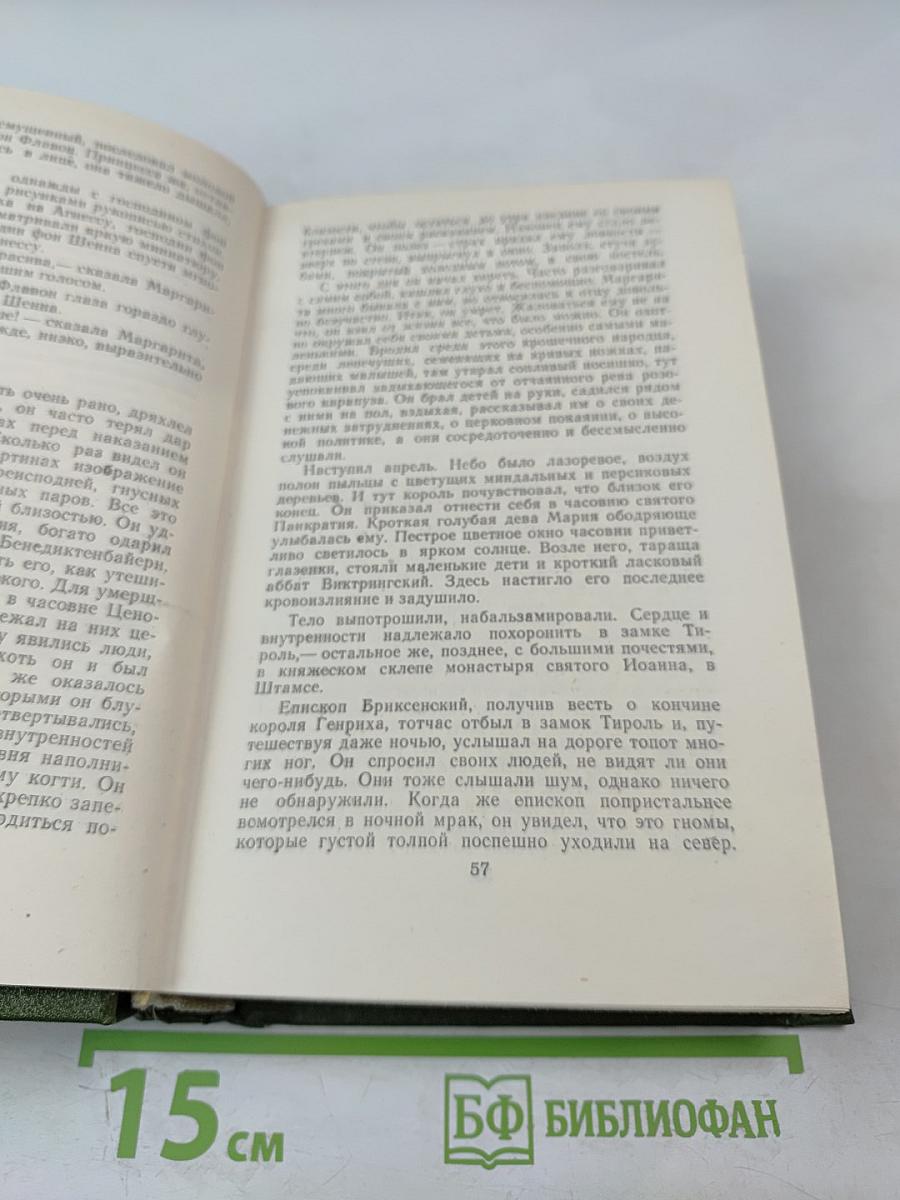 Безобразная герцогиня. Семья Опперман