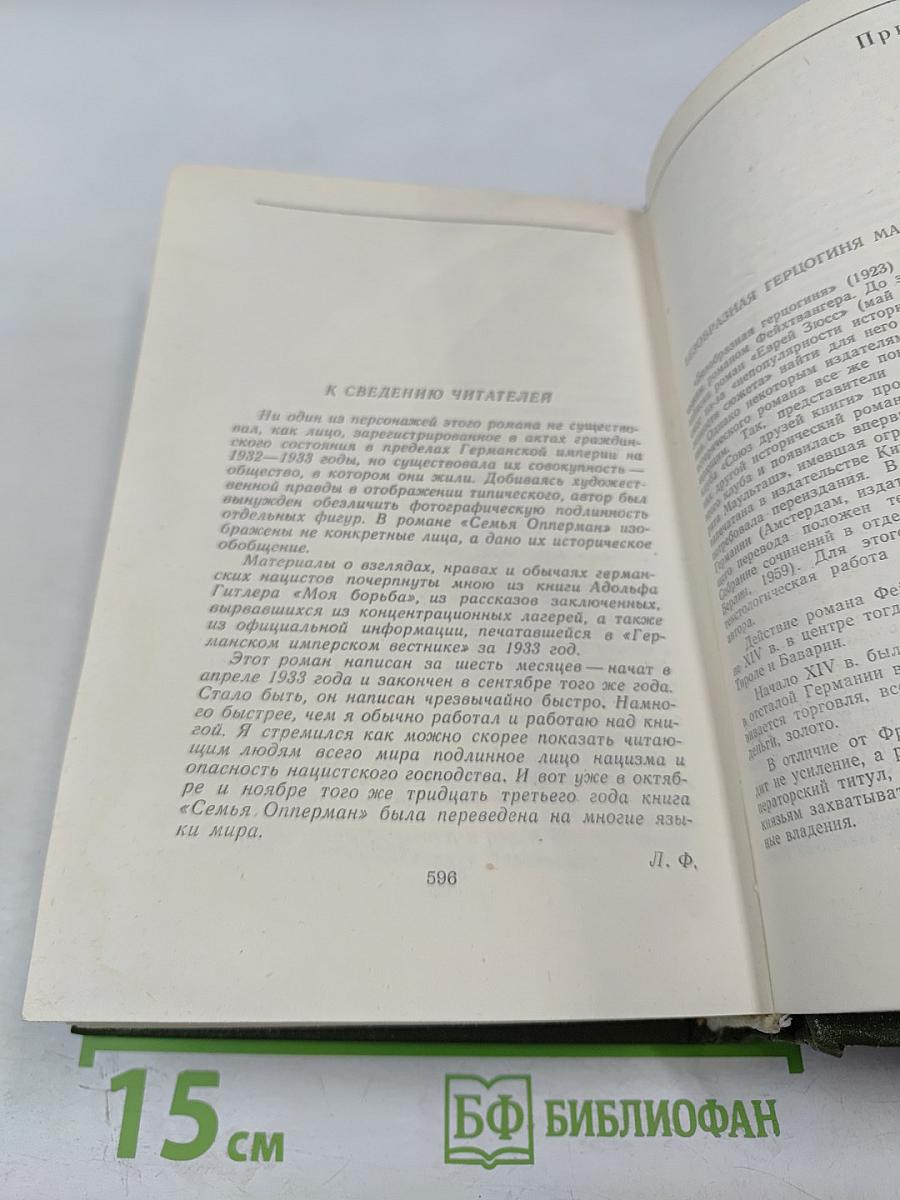 Безобразная герцогиня. Семья Опперман