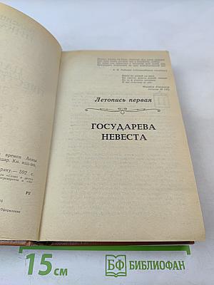 Слово и дело. Книга первая. Царица престрашного зраку