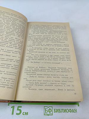 Слово и дело. Книга первая. Царица престрашного зраку