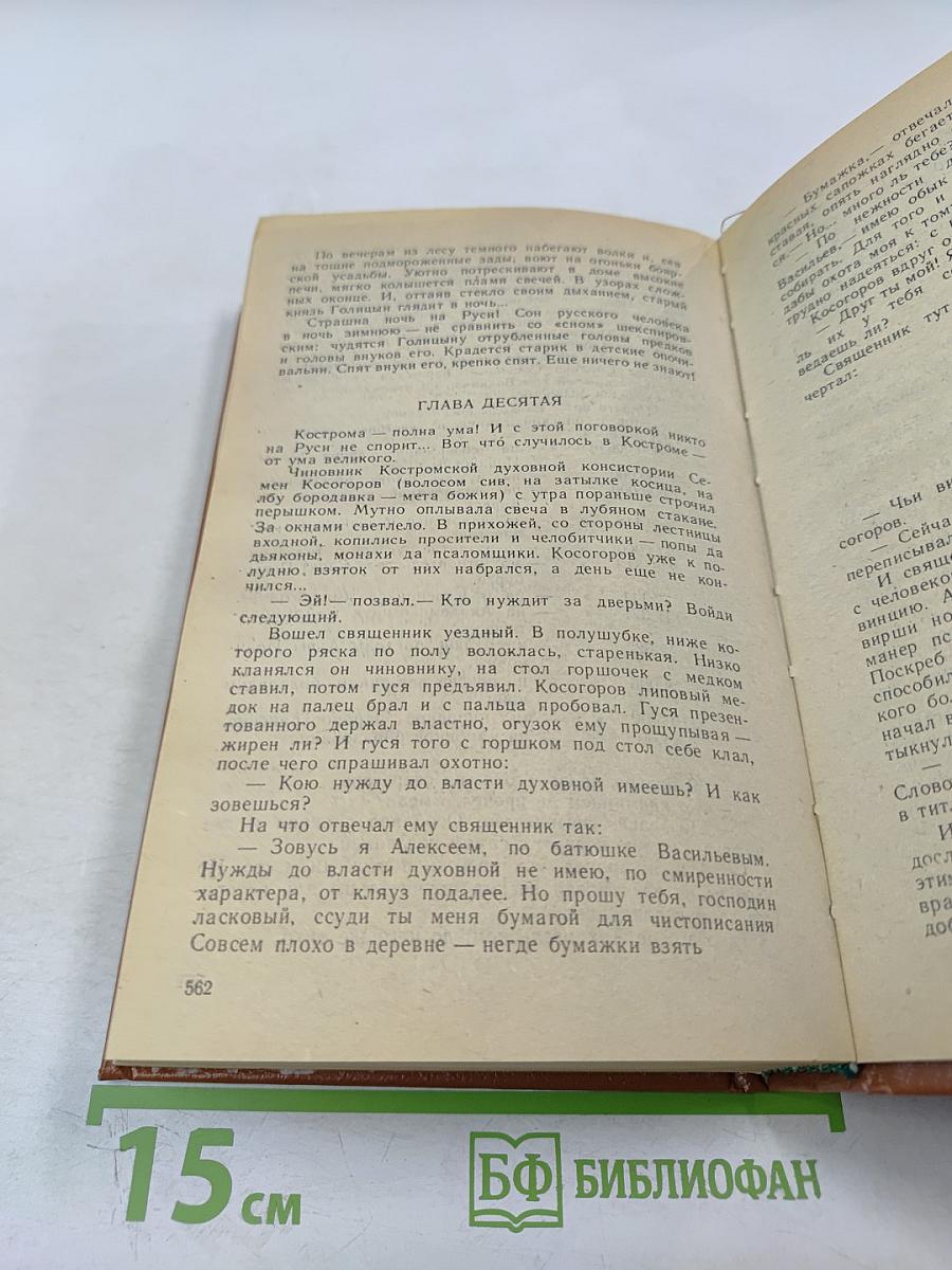 Слово и дело. Книга первая. Царица престрашного зраку
