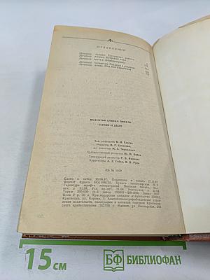 Слово и дело. Книга первая. Царица престрашного зраку