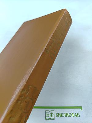 Слово и дело. Книга первая. Царица престрашного зраку