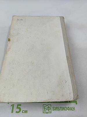 Тополь на том берегу