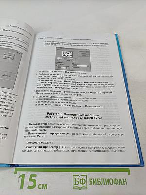 Информатика и ИКТ: Практикум для 10-11 классов