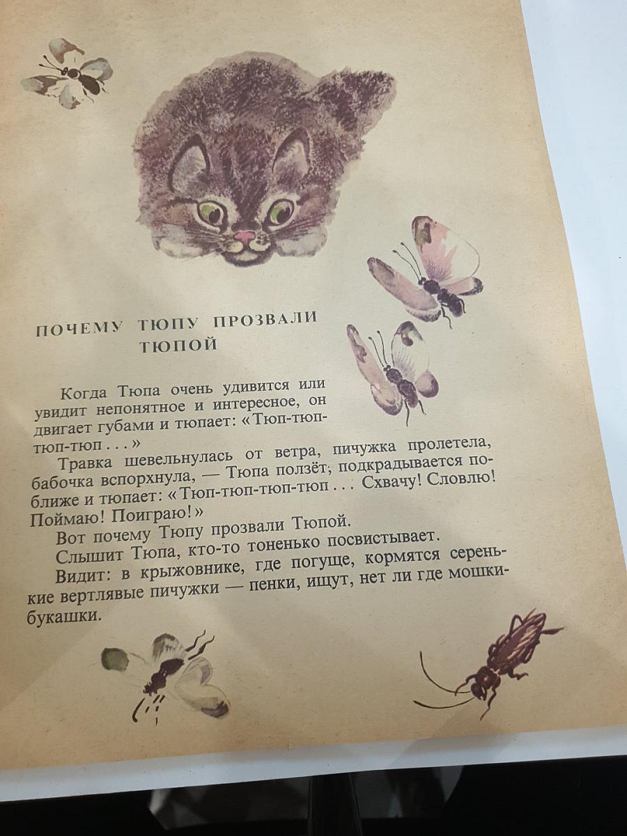 Тюпа, Томка и Сорока