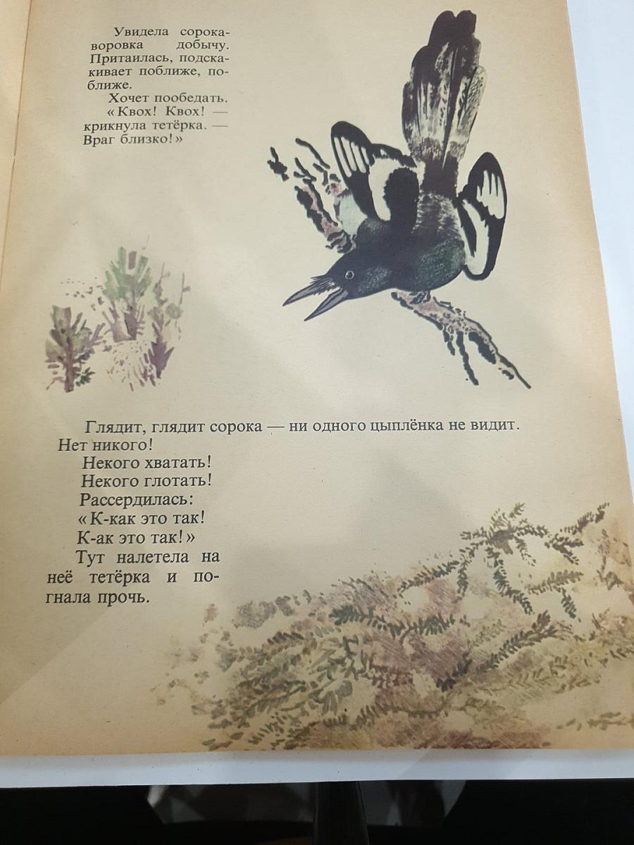 Тюпа, Томка и Сорока