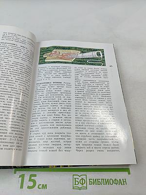 Молодой семье о кулинарии