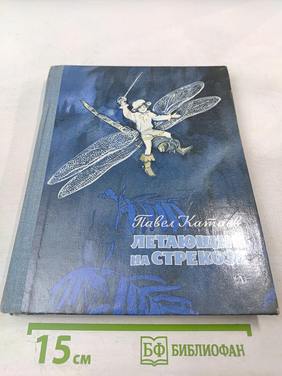 Летающий на стрекозе