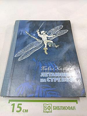 Летающий на стрекозе