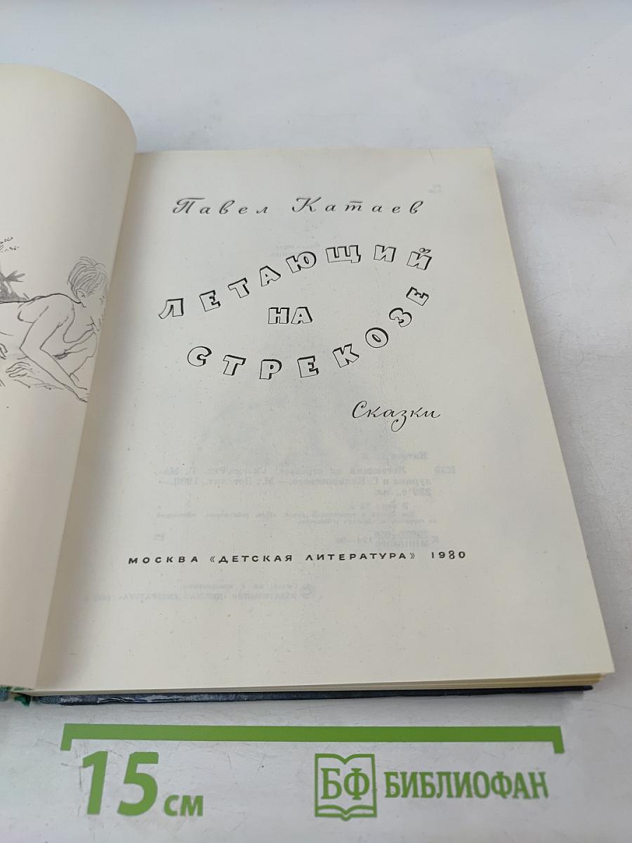 Летающий на стрекозе