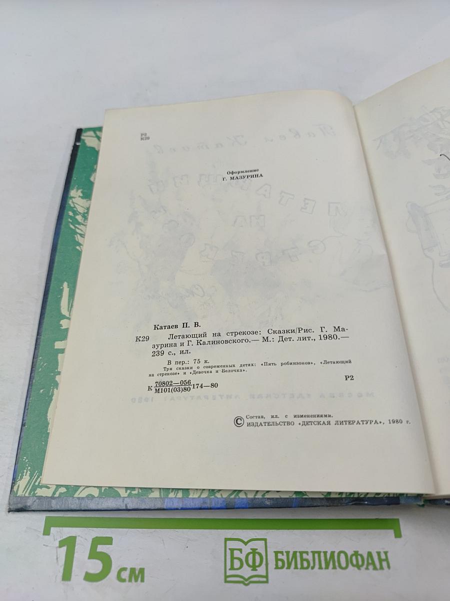 Летающий на стрекозе