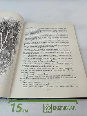 Летающий на стрекозе