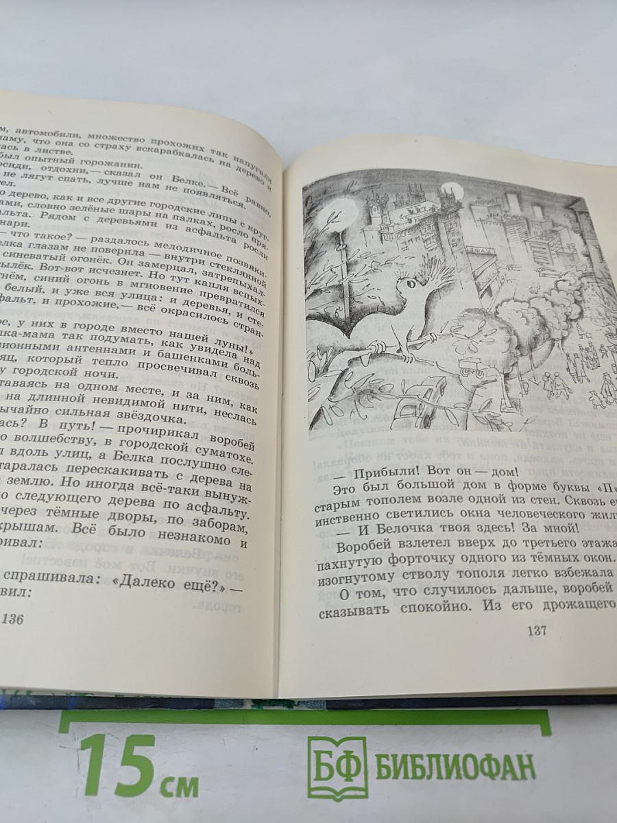 Летающий на стрекозе