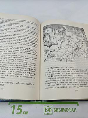 Летающий на стрекозе