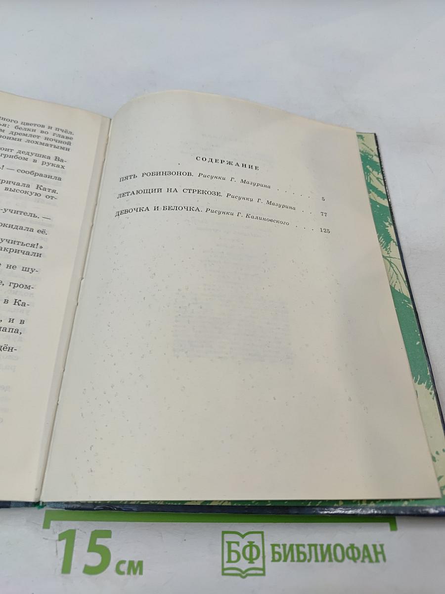 Летающий на стрекозе