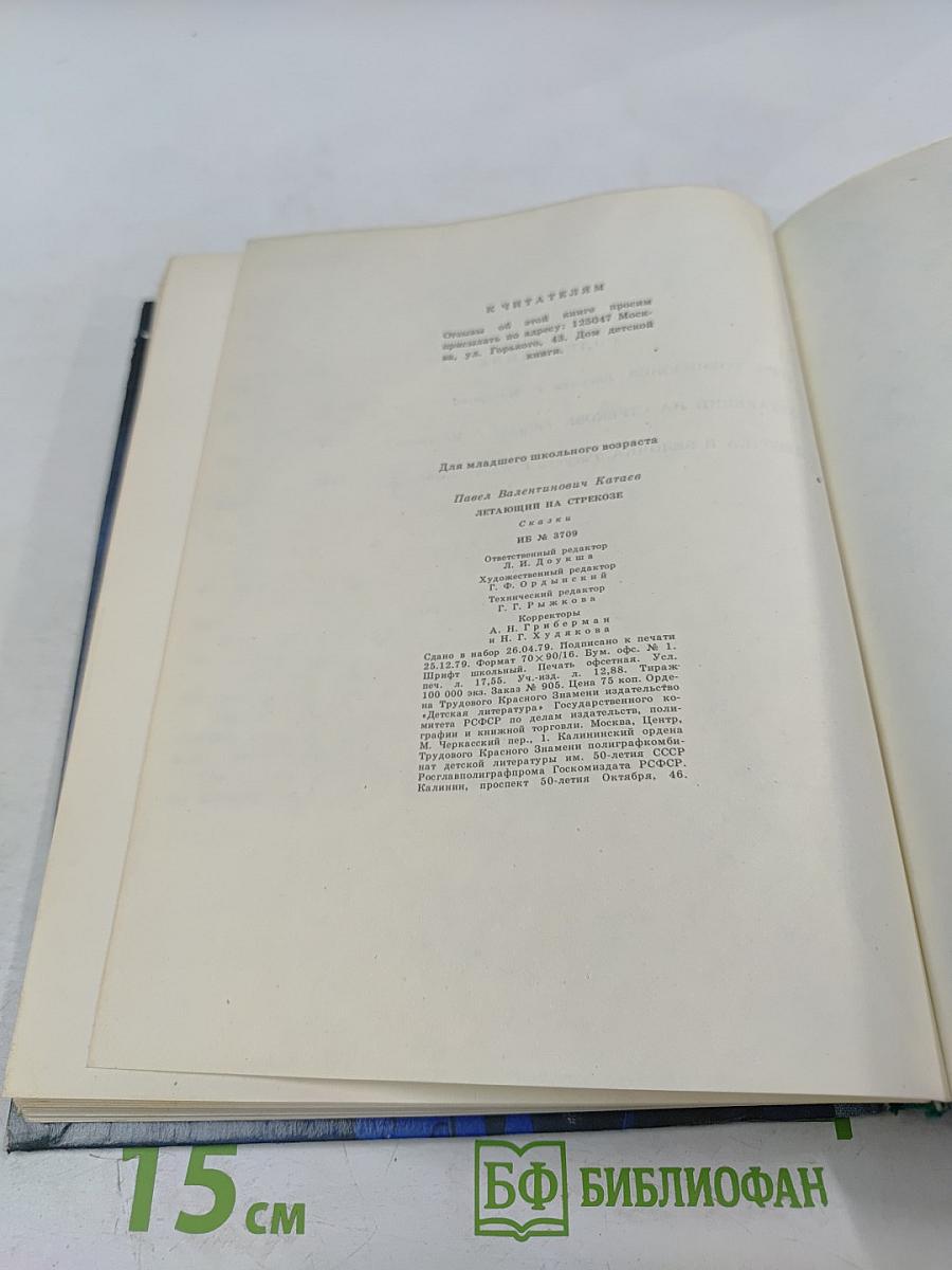 Летающий на стрекозе