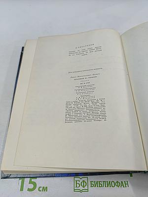 Летающий на стрекозе