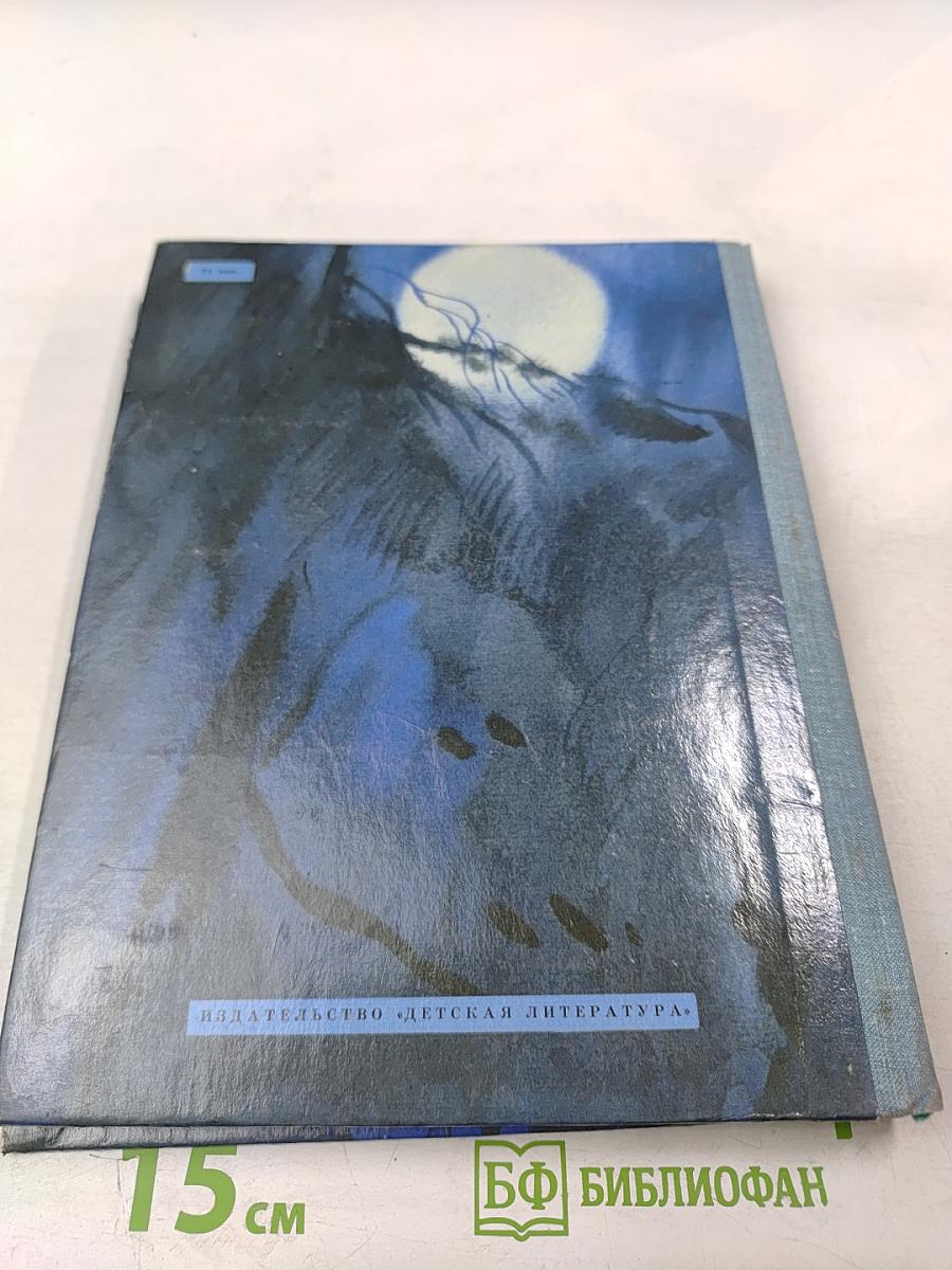 Летающий на стрекозе