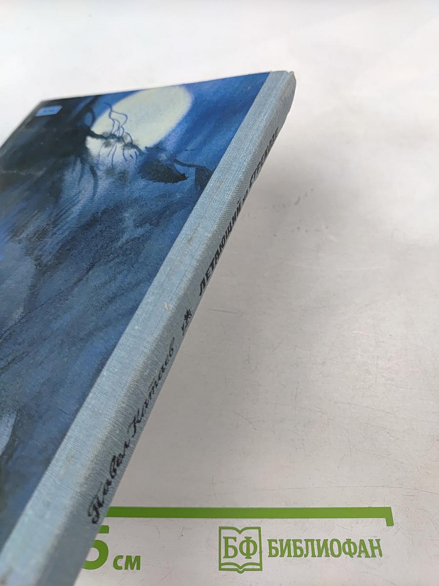 Летающий на стрекозе