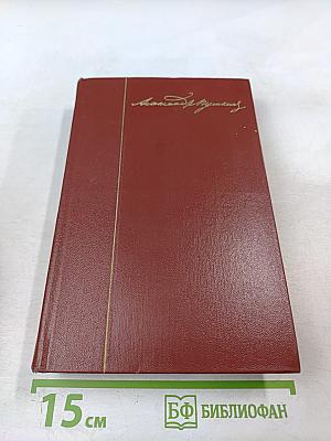 Собрание сочинений. Том шестой. Критика и публицистика