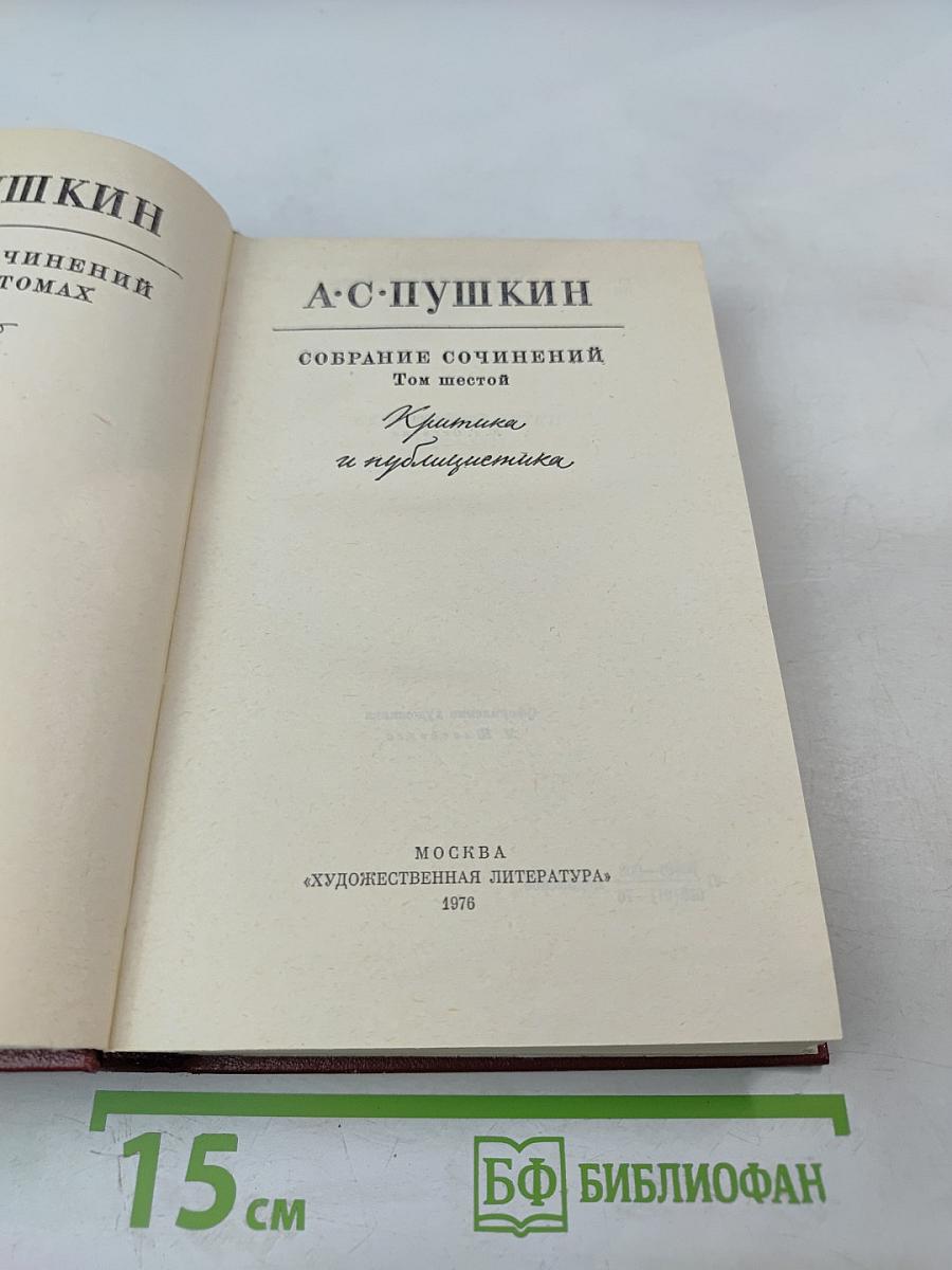 Собрание сочинений. Том шестой. Критика и публицистика