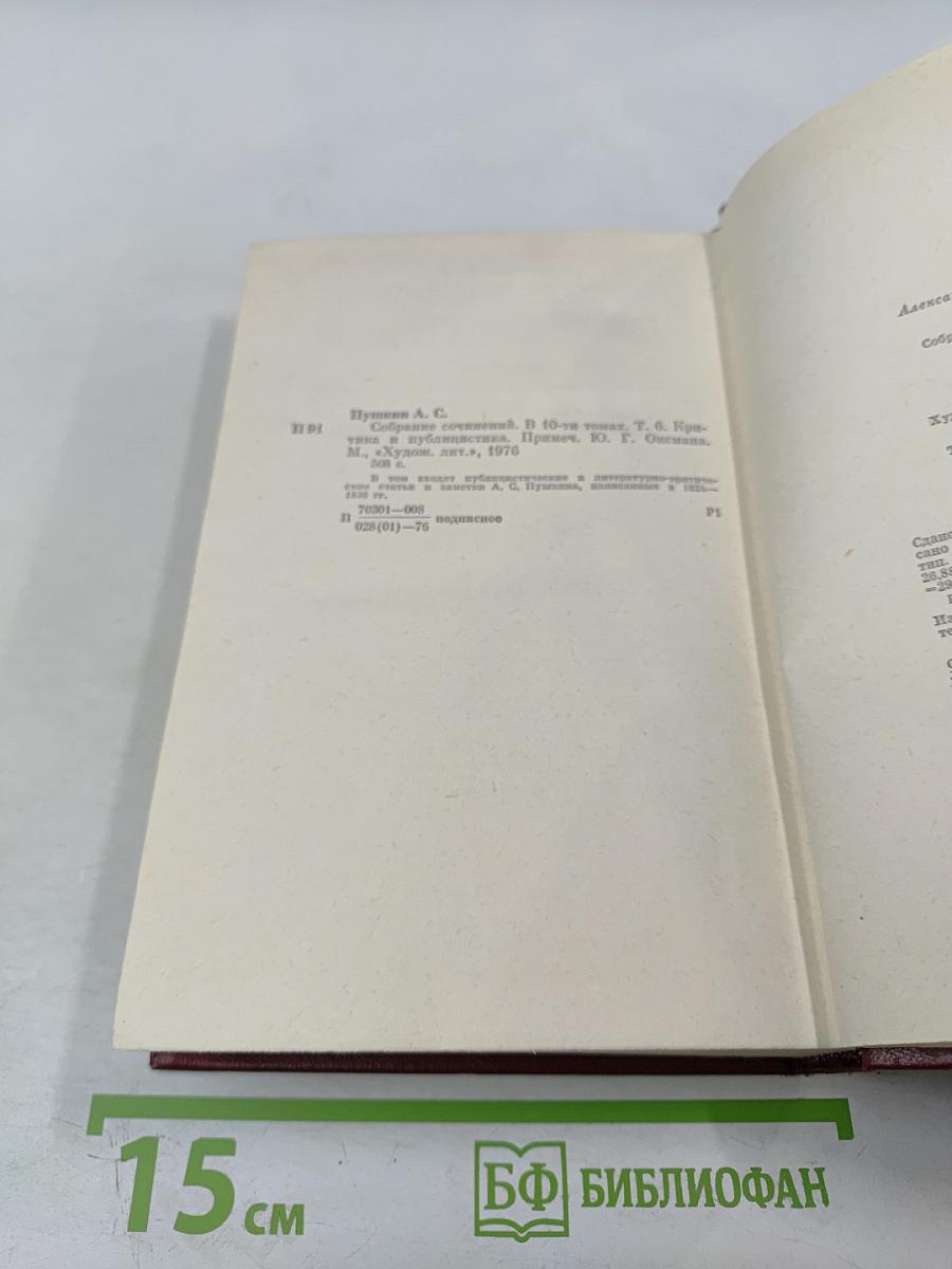 Собрание сочинений. Том шестой. Критика и публицистика