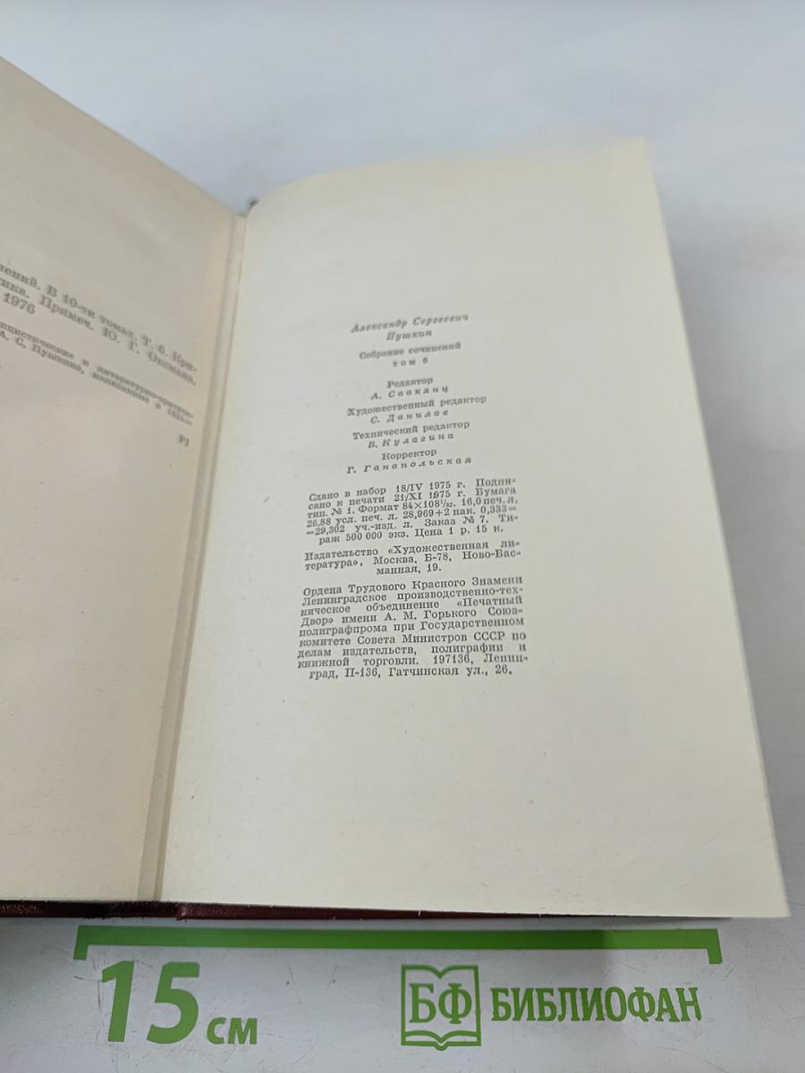 Собрание сочинений. Том шестой. Критика и публицистика