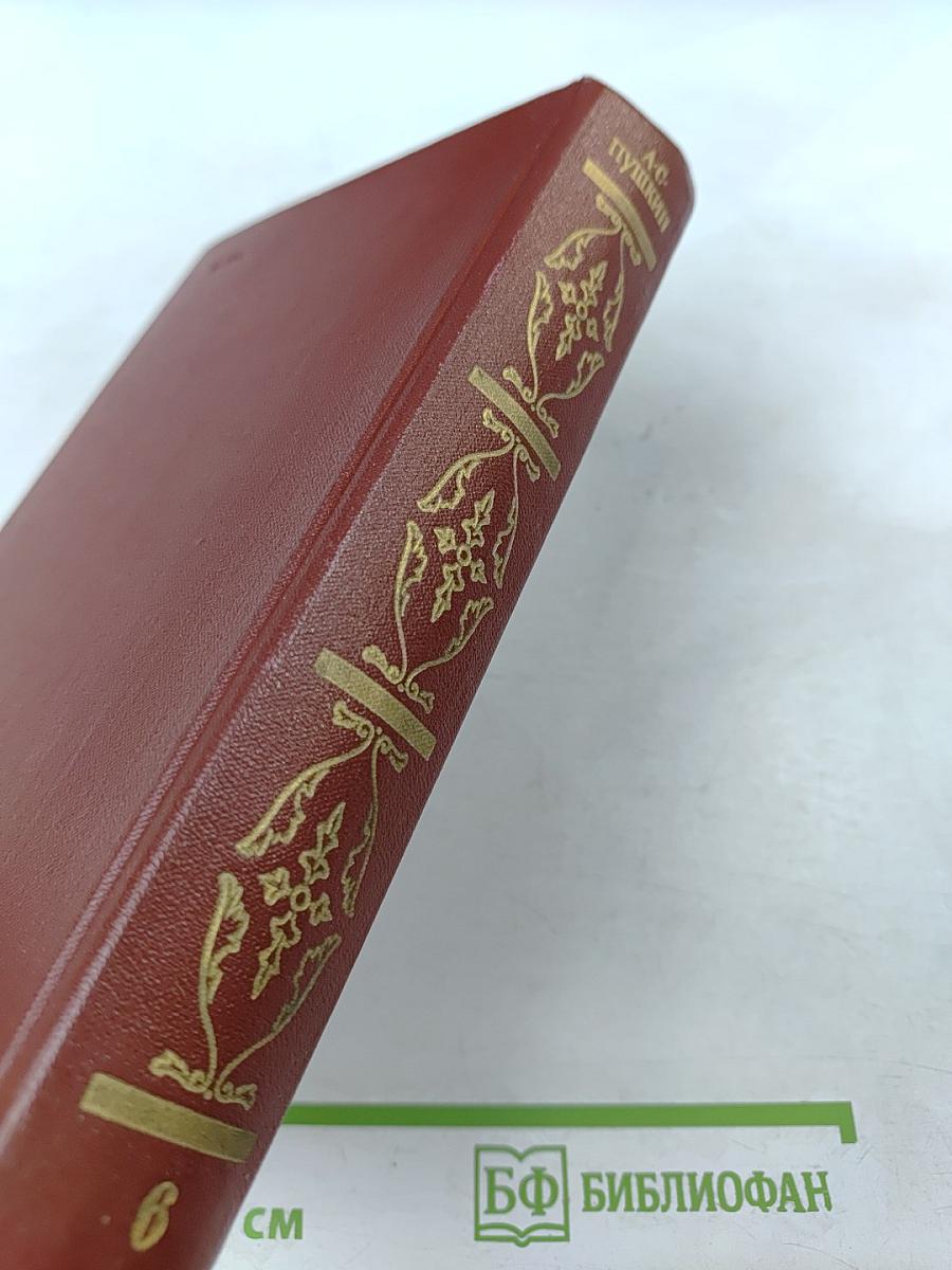 Собрание сочинений. Том шестой. Критика и публицистика