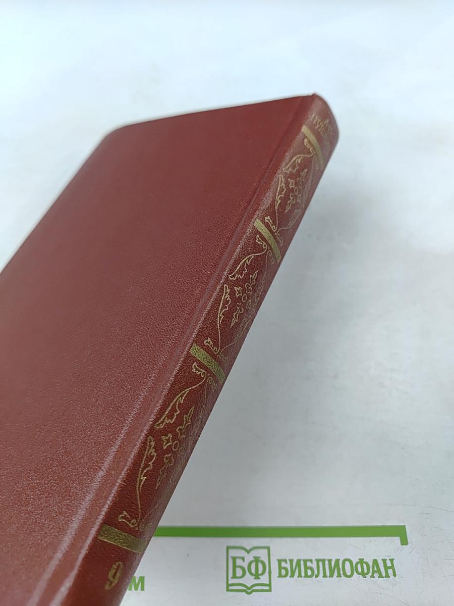 А.С. Пушкин. Собрание сочинений. Том девятый: Письма 1815-1830 годов