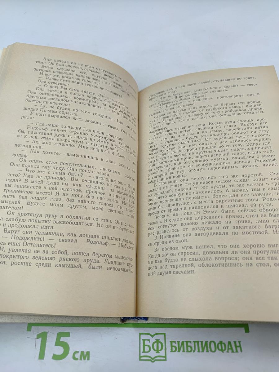 Госпожа Бовари