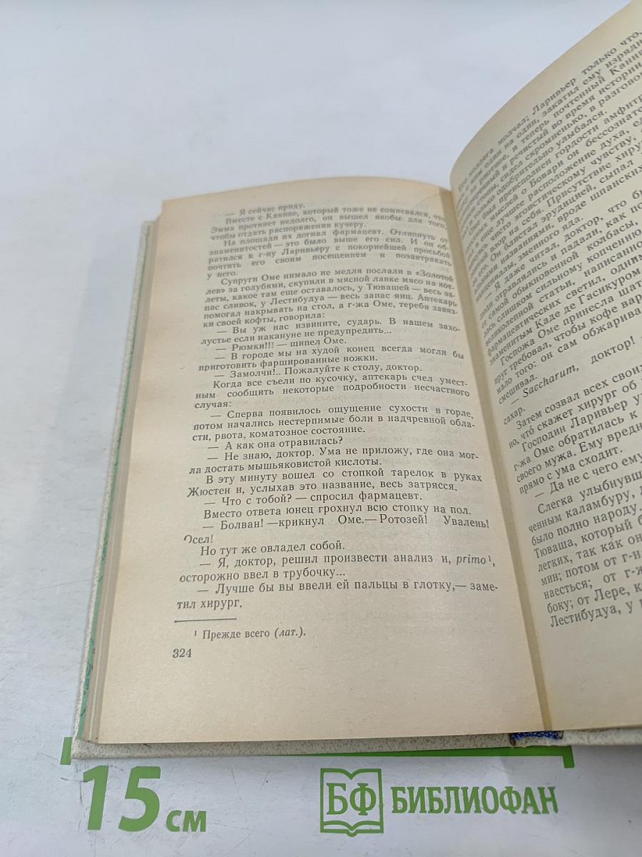 Госпожа Бовари