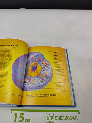 Жизнь – как она возникла? Путем эволюции или путем сотворения?