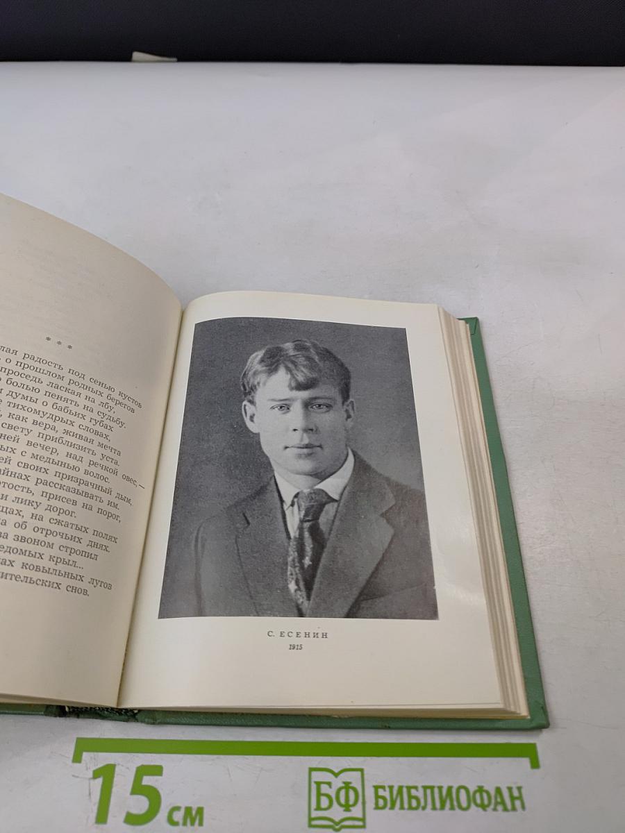 Собрание сочинений. Том первый. Стихотворения и поэмы (1910 - октябрь 1917)