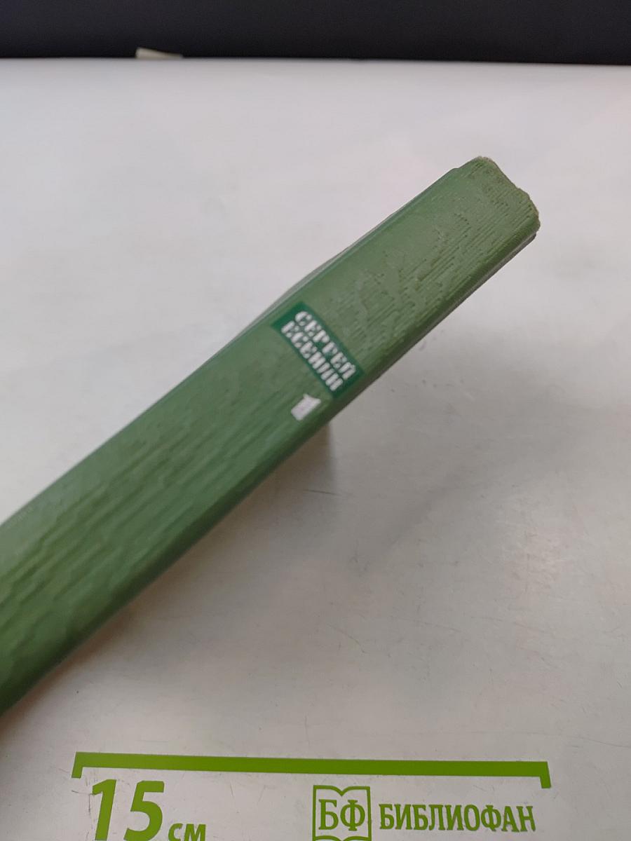 Собрание сочинений. Том первый. Стихотворения и поэмы (1910 - октябрь 1917)