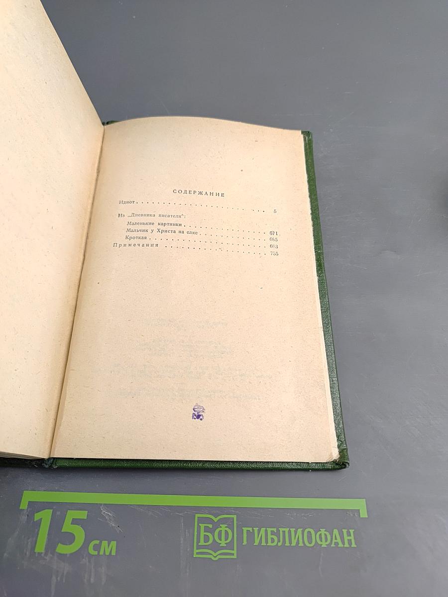 Идиот. Маленькие картинки. Мальчик у Христа на елке. Кроткая