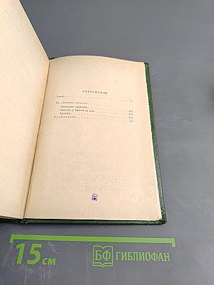 Идиот. Маленькие картинки. Мальчик у Христа на елке. Кроткая