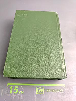 Идиот. Маленькие картинки. Мальчик у Христа на елке. Кроткая