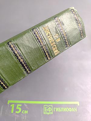 Идиот. Маленькие картинки. Мальчик у Христа на елке. Кроткая