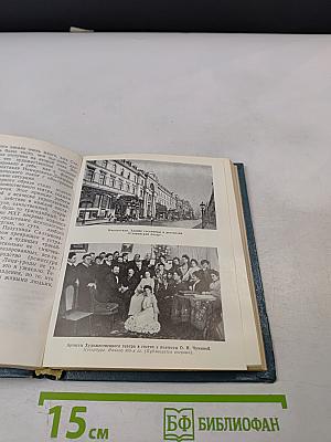 Фрагменты театральной судьбы