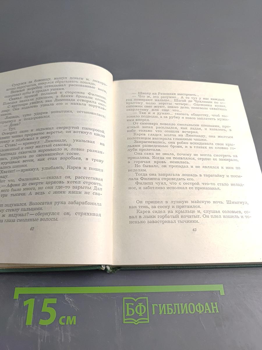 Собрание сочинений. Том четвертый. Проза. Статьи и заметки