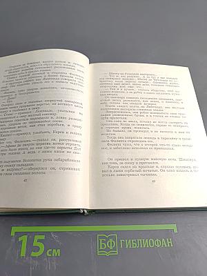 Собрание сочинений. Том четвертый. Проза. Статьи и заметки