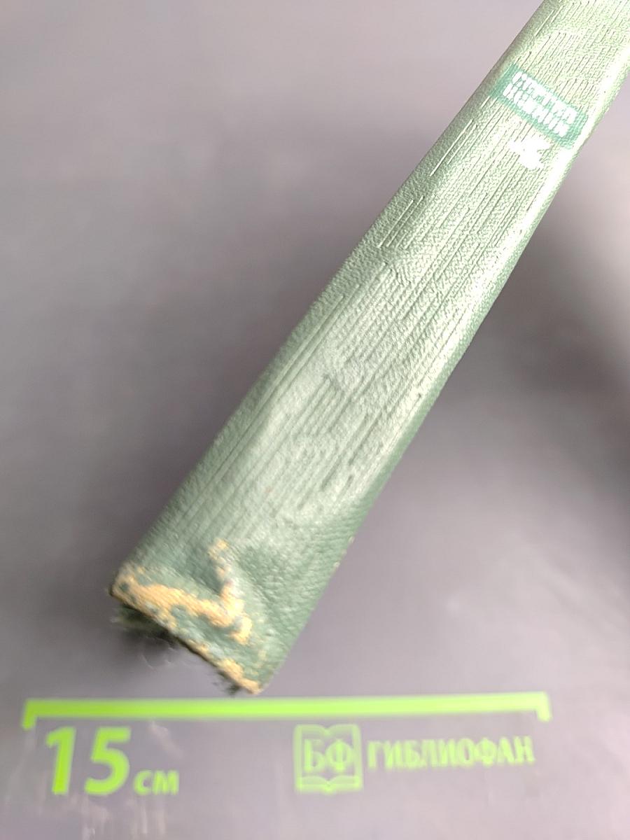 Собрание сочинений. Том четвертый. Проза. Статьи и заметки