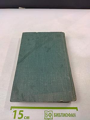 Полное собрание сочинений. Том VIII. Пьесы 1877–1881